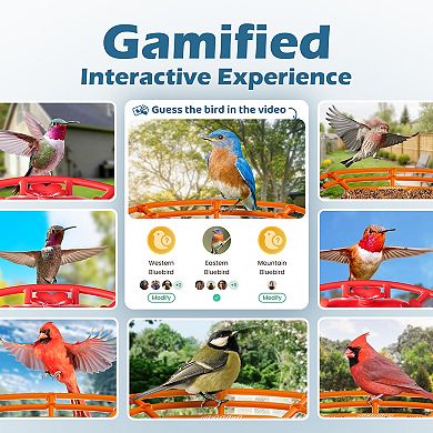 Coolfly x Richbird - Smart Bird Feeder with 2K HD Camera, AI ID, and Solar Panel