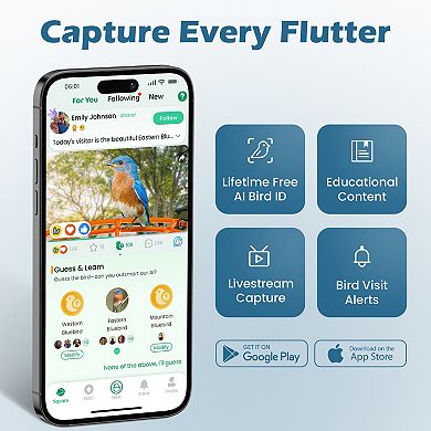 Coolfly x Richbird - Smart Bird Feeder with 2K HD Camera, AI ID, and Solar Panel