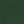 Blue Spruce