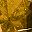 November