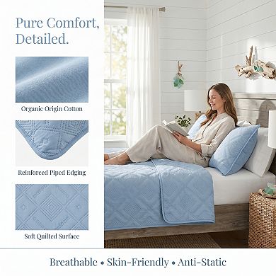 Pillow Protectors with Envelope Standard Size 2 Pack, Quilted Ployester Throw Pillow Covers