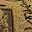 Calligraphy