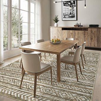 Washable Area Rug Vintage Geometric Rug Non Shedding Rug Foldable Indoor Carpet for Living Room