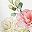 Pink Flowers
