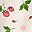 Color Strawberry