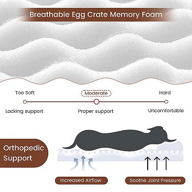 Orthopedic Dog Bed with Memory Foam Support for Large Dogs-Beige