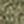 Heather Military Green