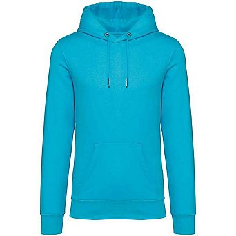 Native Spirit Unisex Adult Heavyweight Hoodie