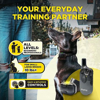 Dogtra 200iQ Professional Remote Training E Collar - 1/2 Mile, Waterproof, Dogs 10 lbs
