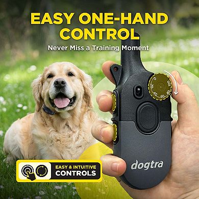 Dogtra 200iQ Professional Remote Training E Collar - 1/2 Mile, Waterproof, Dogs 10 lbs