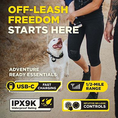 Dogtra 200iQ Professional Remote Training E Collar - 1/2 Mile, Waterproof, Dogs 10 lbs