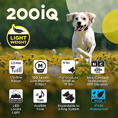 Dogtra 200iQ Professional Remote Training E Collar - 1/2 Mile, Waterproof, Dogs 10 lbs