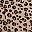 Classic Leopard