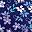 Evening Blue Flowers