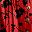 Red Black Flower