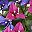 Deep Purple Deep Lotus