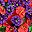 Red Purple