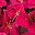 Hotpink