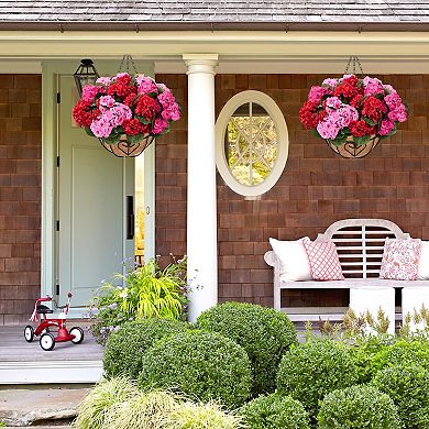 2-pack Artificial Geraniums Hanging Baskets Outdoor UV Resistant