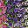 Mixed Color1