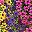 Mixed Color2