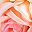 Gradient Light Pink