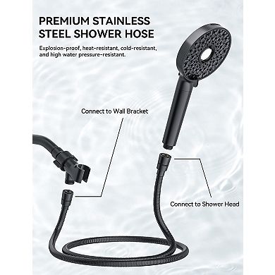 Shower Head Handheld 10-Spray Detachable Chrome Hose