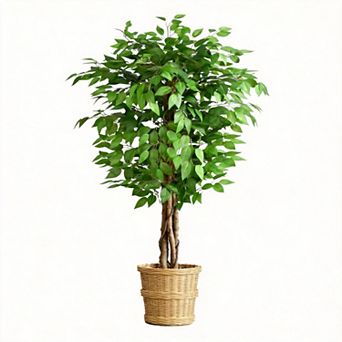 Ficus Artificial Tree Curved Trunk Home Decor