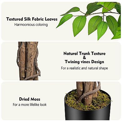 Ficus Artificial Tree Curved Trunk Home Decor