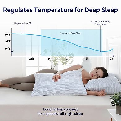 2 Pack Adjustable Shredded Memory Foam Pillows Cooling Supportive