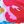 Hot Pink Blue Floral A