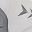 Greywhite