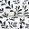 Burst Of Vines Navy