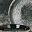 Darkgray