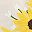 Sunflower Bouquet
