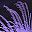 Feather Purple