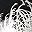Feather Sliver
