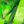 Green Crystal Rose