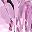 Pink Tulip