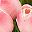 Peach Pink