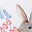 Garden Bunny