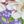 Romantic Purple