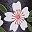 Flower Line
