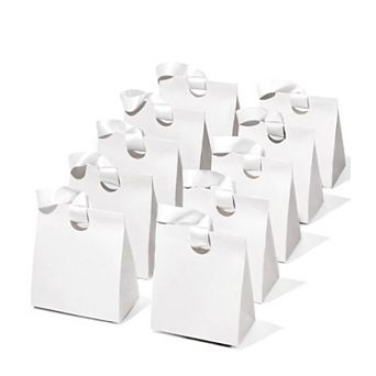 Paper Gift Bags Ribbon Handles Birthday Party Favors