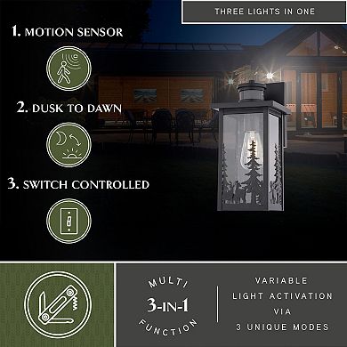 VAXCEL Acadia Matte Black Rustic Motion Dusk to Dawn Outdoor Wall Sconce Light