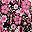Pink Floral