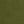 Grey Olive