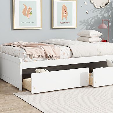 Pnronnc Twin Size Storage Bed with 2 Drawers