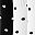 Black White Dots