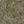 Elton Taupe